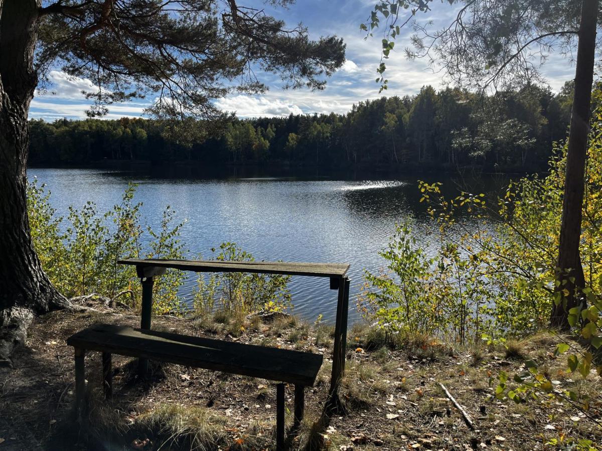 Ferienwohnung Am See Dillich - Hunde Willkommen - Eigener Eingezaeunter Garten - Ruhige Lage Borken (Hessen) Exterior foto