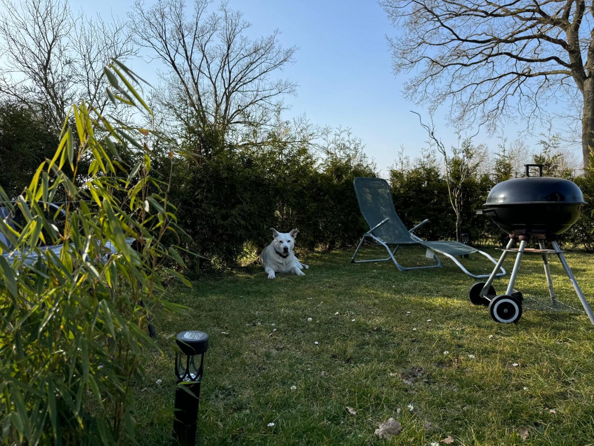 Ferienwohnung Am See Dillich - Hunde Willkommen - Eigener Eingezaeunter Garten - Ruhige Lage Borken (Hessen) Exterior foto