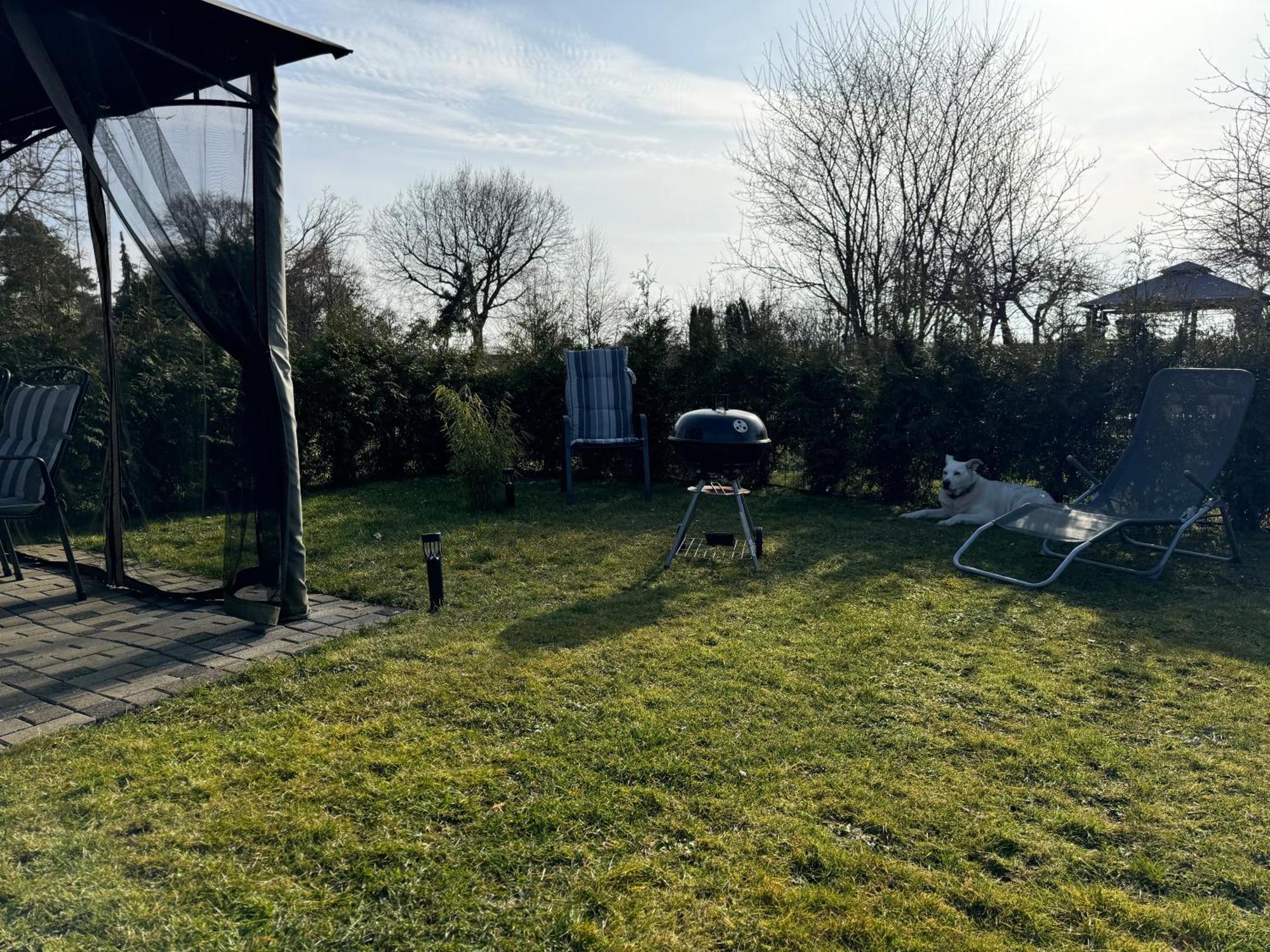 Ferienwohnung Am See Dillich - Ruhige Lage - Eigener Garten - Direkt Neben Einem Natursee Borken  Exterior foto