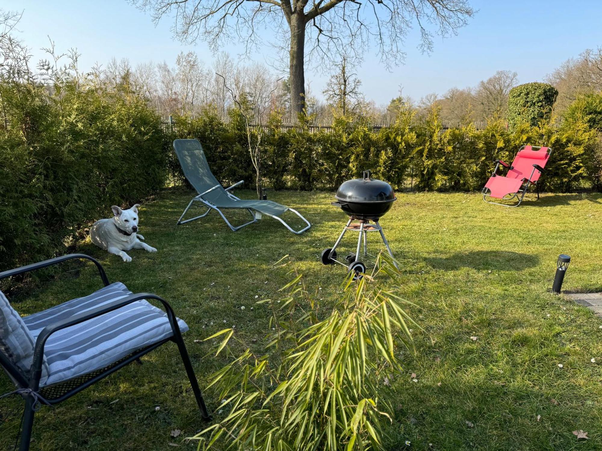Ferienwohnung Am See Dillich - Hunde Willkommen - Eigener Eingezaeunter Garten - Ruhige Lage Borken (Hessen) Exterior foto